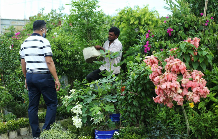 এখন গাছ লাগানোর উপযুক্ত সময়। রাজধানীর বৃক্ষপ্রেমী বাসিন্দারা বিভিন্ন নার্সারি থেকে গাছ ও গাছের চারা কিনছেন। ছবি: জাগো নিউজ