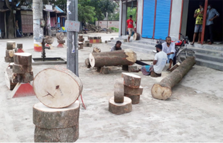 কোরবানি উপলক্ষে দিনাজপুরে বেড়েছে ‘খাটিয়া’ বিক্রি। ছবি: এমদাদুল হক মিলন