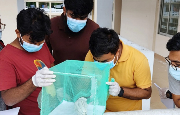 চট্টগ্রাম নগরের ১৫টি স্পটে এডিস মশার লার্ভা পাওয়ার কথা জানিয়েছেন চট্টগ্রাম বিশ্ববিদ্যালয়ের (চবি) একদল গবেষক। নগরের ৫১ স্পটের নমুনায় ১৫টিতেই ডেঙ্গুর বাহক এ মশার লার্ভা পাওয়া যায় বলে জানান তারা। ছবি: মিজানুর রহমান