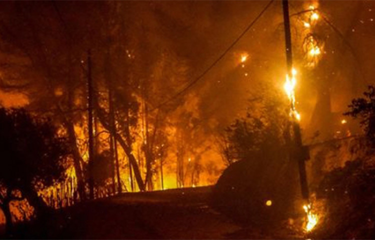রেকর্ড বৃষ্টিপাতের পর গত মাসে ইউরোপের পশ্চিমাঞ্চলে দেখা দিয়েছিল ভয়াবহ বন্যা। এতে জার্মানি, বেলজিয়াম, লুক্সেমবার্গ, নেদারল্যান্ডস, সুইজারল্যান্ডে প্রাণ হারান অন্তত শ’ দুয়েক মানুষ। ছবি: সংগৃহীত