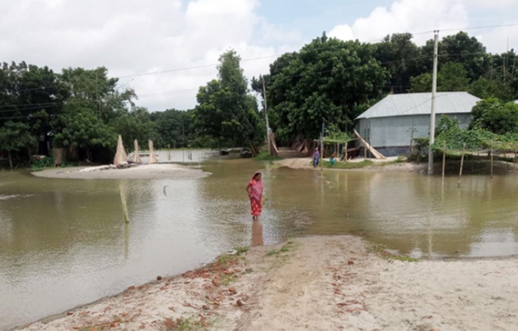রাজবাড়ীতে দুটি পয়েন্টে পদ্মা নদীর পানি বিপৎসীমার ওপর দিয়ে প্রবাহিত হচ্ছে। ফলে বাঁধের বাইরে থাকা নিম্নাঞ্চলে পানি ঢুকতে শুরু করেছে। আজ সকালে এ তথ্য জানা গেছে। ছবি: রুবেলুর রহমান