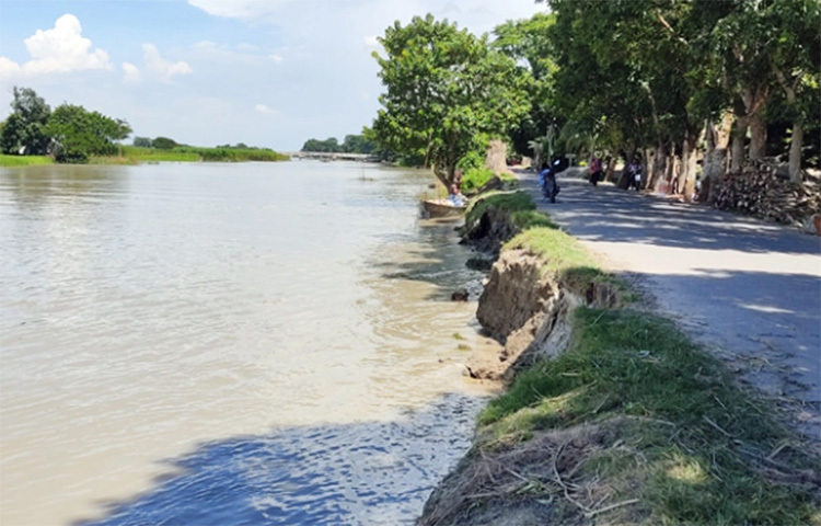 উজান থেকে নেমে আসা পাহাড়ি ঢলে শরীয়তপুরে পদ্মা নদীর পানি বেড়ে বিপৎসীমার ওপর দিয়ে প্রবাহিত হচ্ছে। এতে পানি ঢুকছে জেলার নিম্নাঞ্চলে। বিপাকে পড়েছেন এসব এলাকার বাসিন্দারা। ছবি: মো. ছগির হোসেন