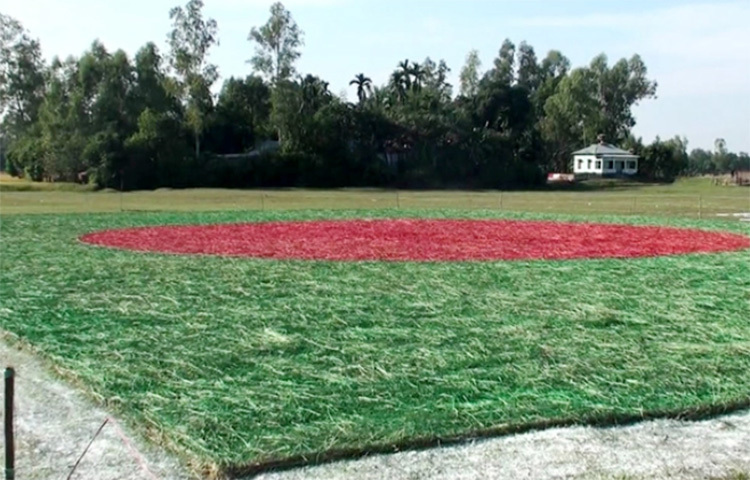 হবিগঞ্জে সবুজ মাঠে ১২ হাজার বর্গফুটের জাতীয় পতাকা চিত্রিত করা হয়েছে। আজ বিকেলে মহান বিজয় দিবস উপলক্ষে সদর উপজেলার পইল গ্রামের বড়পোতা মাঠে স্থানীয় ব্যবসায়ী মোদারিছ আলী টেনুর উদ্যোগে সবুজ মাঠে এ পতাকা চিত্রিত করা হয়। পতাকাটি দেখতে আশপাশের এলাকার মানুষের ঢল নামে। ছবি: সৈয়দ এখলাছুর রহমান খোকন