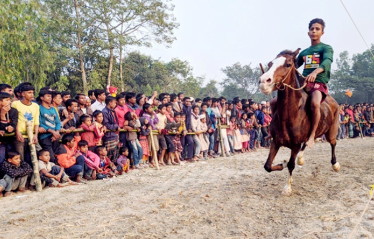 কুড়িগ্রাম সদর উপজেলার হলোখানা ইউনিয়নে তিন দিনব্যাপী ঘোড়দৌড় প্রতিযোগিতার ফাইনাল অনুষ্ঠিত হয়েছে। বৃহস্পতিবার (২৩ ডিসেম্বর) বিকেলে ইউনিয়নের মাস্টারের হাট এলাকায় প্রতিযোগিতার ফাইনাল অনুষ্ঠিত হয়। ছবি: মাসুদ রানা