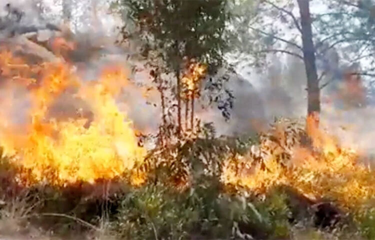 পাকিস্তানে গত সপ্তাহে শুরু হওয়া দাবানল তীব্র আকার ধারণ করেছে। দেশটির খাইবার পাখতুনের সোয়াত জেলার বিভ্ন্ন স্থানে আগুন ছড়িয়ে পড়েছে। উদ্ধার কাজে নিয়োজিত দল এ তথ্য নিশ্চিত করেছে। ছবি: সংগৃহীত