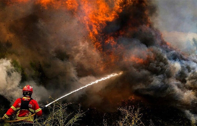 ইউরোপের বেশ কয়েকটি দেশে ছড়িয়ে পড়েছে ভয়াবহ দাবানল। পর্তুগাল, স্পেন ও ফ্রান্সের দক্ষিণাঞ্চলের দাবানল নিয়ন্ত্রণে শত শত ফায়ারফাইটাররা কাজ করছে। তবে ধারণা করা হচ্ছে, আগুন সহজে নিয়ন্ত্রণ হবে না। আজ বিবিসির এক প্রতিবেদনে এ তথ্য জানানো হয়। ছবি: সংগৃহীত