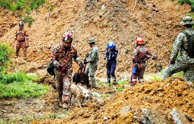 মালয়েশিয়ায় ভূমিধসের ঘটনায় আরও চারজনের মরদেহ উদ্ধার করা হয়েছে। দেশটির জাতীয় দুর্যোগ ব্যবস্থাপনা সংস্থা (নাদমা) জানিয়েছে, বাতাং কালি ভূমিধসের স্থানে আরও চারটি মরদেহ পাওয়া গেছে। এতে মৃতের সংখ্যা বেড়ে দাঁড়িয়েছে ৩০ জনে। ছবি: সংগৃহীত