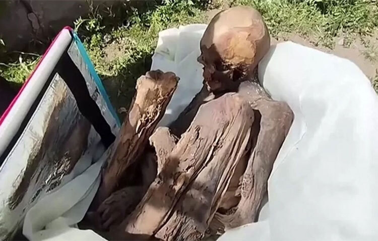 পেরুর পুনো শহরে এক খাবার সরবরাহকারী ব্যক্তির ব্যাগ থেকে আটশ বছরের পুরোনো একটি মমি উদ্ধার করেছে দেশটির পুলিশ। গত শনিবার অভিনব কায়দায় পুলিশের কাছে ধরা পড়েন ওই ব্যক্তি। ধরা পড়া ওই ব্যক্তি পুলিশকে জানান, এই মমিটি তার ‘আধ্যাত্মিক বান্ধবী এবং তার সঙ্গেই থাকে। তার বন্ধুদের দেখানোর জন্য ব্যাগে ভরেছিলেন।’ ছবি: সংগৃহীত