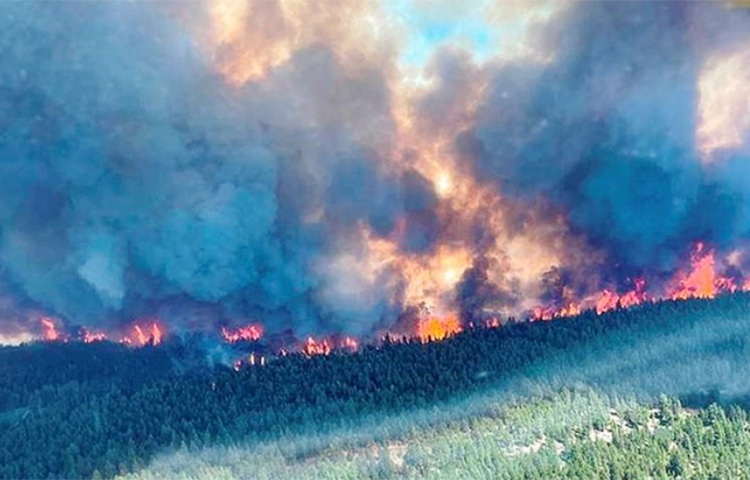 কানাডার পশ্চিমাঞ্চলে তীব্র দাবদাহ এবং বজ্রপাত থেকে দাবানল ছড়িয়ে পড়েছে। ১৩০টির বেশি ছোট-বড় দাবানলের কারণে লোকজনের মধ্যে আতঙ্ক ছড়িয়ে পড়েছে। ছবি: সংগৃহীত