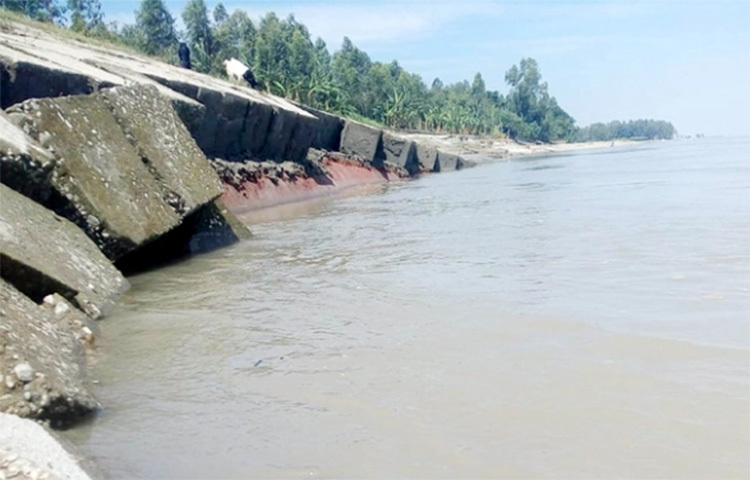 সংস্কার কাজ শেষ না হতেই বগুড়ার ধুনট উপজেলায় পুকুরিয়া-ভুতবাড়ি এলাকায় যমুনার ডান তীর রক্ষা বাঁধের আরও ৩৫ মিটার অংশ ভেঙে নদীগর্ভে বিলীন হয়েছে। পানির তোড়ে আজ সকালের দিকে তৃতীয় দফায় বাঁধে এ ভাঙন শুরু হয়। ছবি: জাগো নিউজ