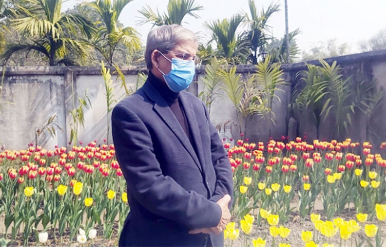 বিদেশি টিউলিপ ফুলের বাগান দেখতে পরিবারসহ পঞ্চগড়ের তেঁতুলিয়ায় গেছেন বিএনপি মহাসচিব মির্জা ফখরুল ইসলাম আলমগীর। আজ দুপুরে তিনি পরিবারসহ তেঁতুলিয়া উপজেলার শারিয়াল জোত ও দর্জিপাড়া গ্রামের টিউলিপ বাগান ঘুরে দেখেন। ছবি: সফিকুল আলম