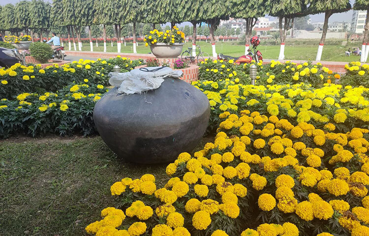 চাল সংরক্ষণের জন্য মাটির তৈরি ঐতিহ্যবাহী একটি মটকা সংরক্ষণ করেছে বাংলাদেশ ধান গবেষণা ইনস্টিটিউট (ব্রি)। ১৭৬ বছরের পুরোনো এ মটকার চাল ধারণক্ষমতা ৩৪৫ কেজি। ছবি: জাগো নিউজ