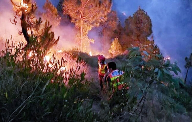 পাকিস্তানের খাইবার পাখতুনখাওয়ার পাঁচ জেলায় ভয়াবহ দাবানল ছড়িয়ে পড়েছে। দাবানল নিয়ন্ত্রণে কাজ করছে দেশটির দুর্যোগ ব্যবস্থাপনা বিভাগ। আগুন নেভাতে তাদের সহায়তায় ঘটনাস্থলে হেলিকপ্টার পাঠানোর আদেশ দিয়েছেন প্রধানমন্ত্রী শাহবাজ শরিফ। আজ পাকিস্তানের সংবাদমাধ্যম ডনের এক প্রতিবেদনে এ তথ্য জানানো হয়। ছবি: সংগৃহীত