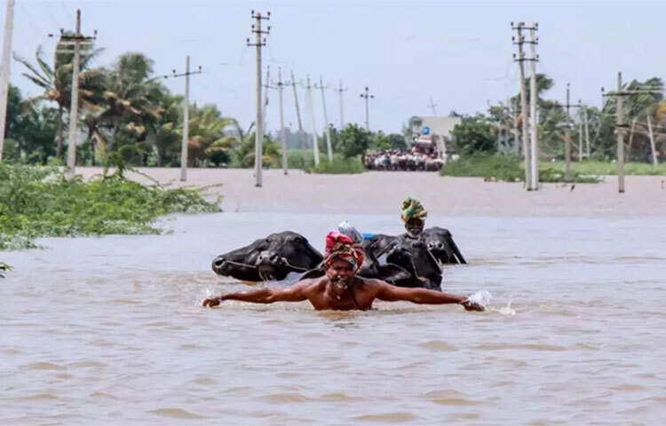 চলতি মৌসুমে ভারতের আসামে বন্যায়-ভূমিধসে মৃত্যুর সংখ্যা বেড়ে দাঁড়িয়েছে ৭১ জনে। এতে রাজ্যটির ৪২ লাখের বেশি মানুষ ক্ষতিগ্রস্ত হয়েছে। তছাড়া এক লাখ ৮৬ হাজার ৪২৪ জন ৭৪৪টি কেন্দ্রে আশ্রয় নিয়েছে। আসামের দুর্যোগ ব্যবস্থাপনা কর্তৃপক্ষ এ তথ্য নিশ্চিত করেছে। ছবি: সংগৃহীত