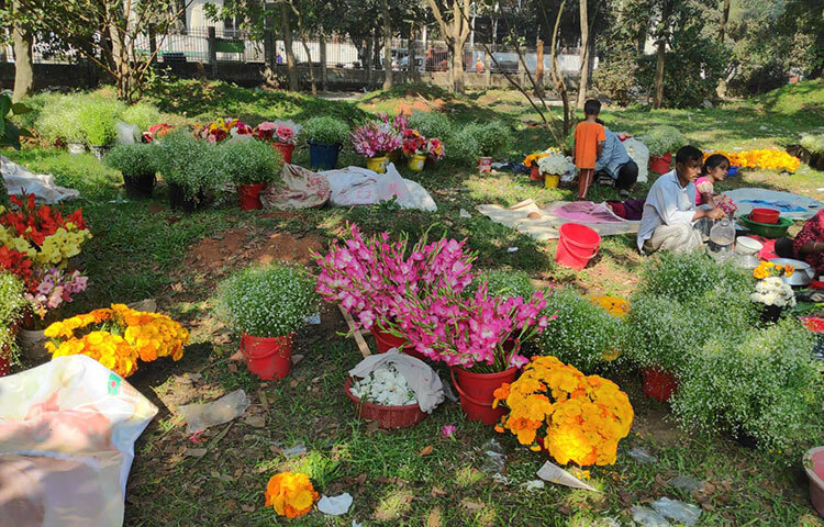 বিশ্ব ভালোবাসা দিবস ও পহেলা ফাল্গুন উপলক্ষে ফুল বিক্রি বেড়ে যায়। তাই রাজধানীর সোহরাওয়ার্দী উদ্যানে ফুল সাজাচ্ছেন ফুল বিক্রেতারা। ছবি: জাগো নিউজ