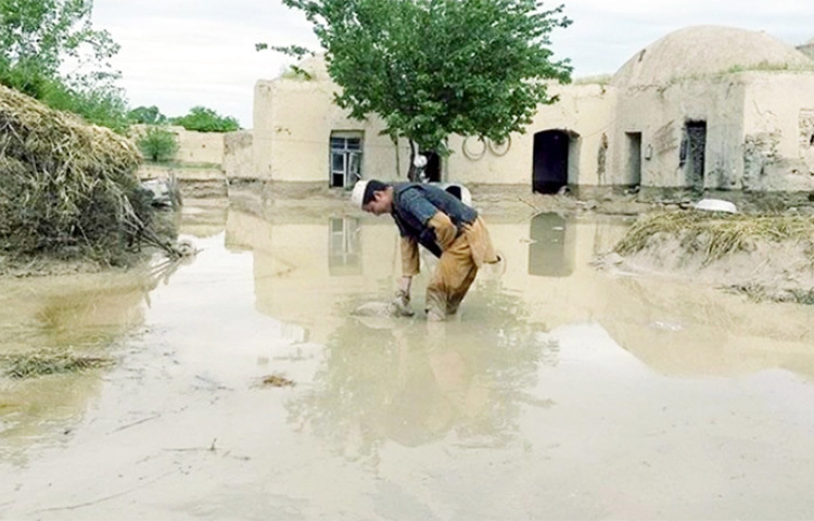 আফগানিস্তানে প্রবল বৃষ্টিপাতের জেরে কয়েকটি প্রদেশে আচমকা বন্যা দেখা দিয়েছে। এতে অন্তত ৫০ জন প্রাণ হারিয়েছেন। এখনো নিখোঁজ রয়েছেন অনেকে। আফগানিস্তান টাইমসের বরাতে শুক্রবার এ তথ্য জানিয়েছে বার্তা সংস্থা এএনআই। ছবি: সংগৃহীত