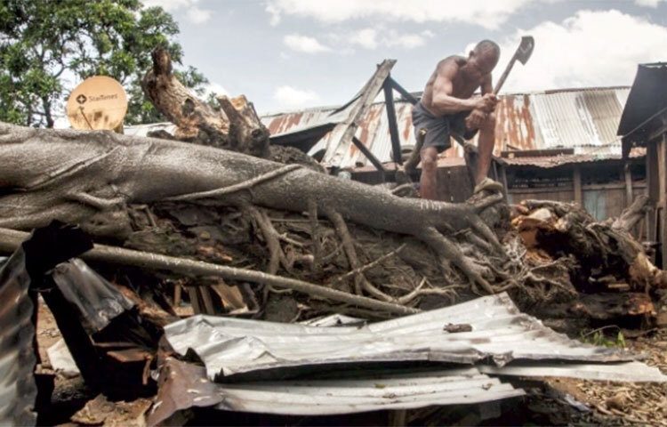 আফ্রিকার দক্ষিণাঞ্চলের দেশ মাদাগাস্কারে ঘূর্ণিঝড় বাতসিরাই-র আঘাতে বিপর্যস্ত জনজীবন। স্থানীয় সময় শুক্রবার (১১ ফেব্রুয়ারি) পর্যন্ত ১২০ জনের মৃত্যুর খবর পাওয়া গেছে দেশটিতে। ঝড়ের তাণ্ডবে লন্ডভন্ড হয়ে গেছে বহু ঘরবাড়ি ও স্থাপনা। উদ্বাস্তু হয়ে পড়েছেন অন্তত ৩০ হাজার মানুষ। ছবি: সংগৃহীত