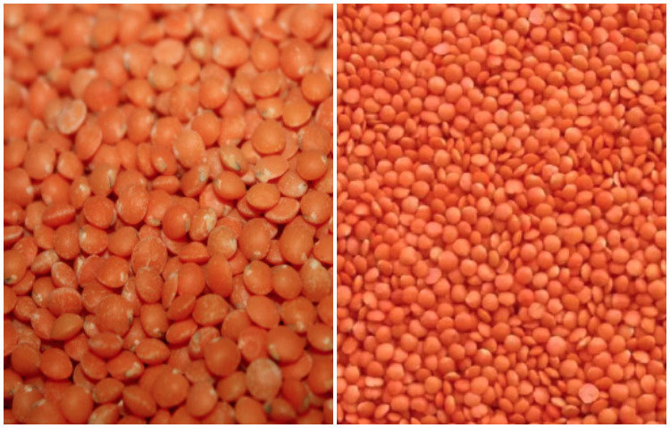 ঘি খালি পেটে না ভরা পেটে কখন খাবেন? প্রচুর উপকারিতায় ভরপুর এই ঘরোয়া খাবারে।