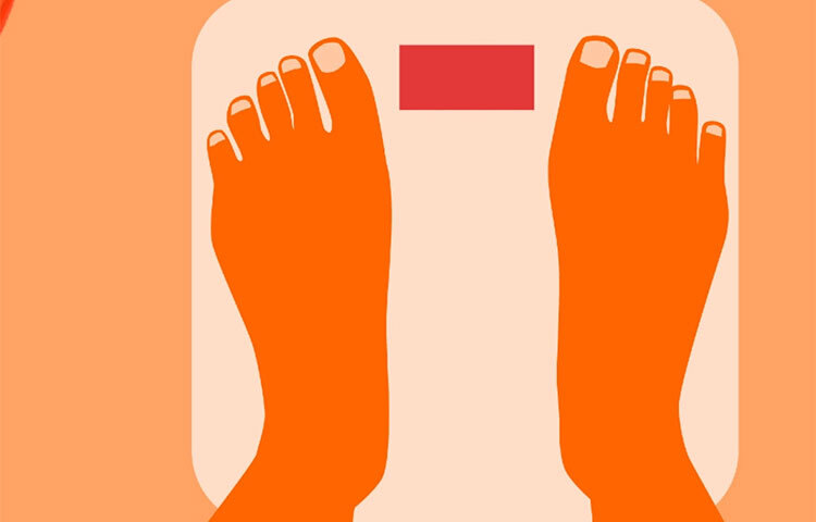 ওজন বাড়ানোর জন্য স্বাস্থ্য বিশেষজ্ঞরা খেঁজুর খাওয়ার পরামর্শ দেন। এতে গ্লুকোজ, ভিটামিন থাকার পাশাপাশি অনেক প্রয়োজনীয় প্রোটিন আছে, যা ওজন বাড়াতে সাহায্য করে। ছবি: সংগৃহীত