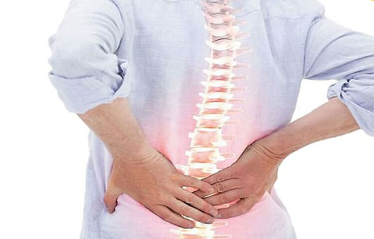 খেজুরে পর্যাপ্ত পরিমাণে ক্যালসিয়াম, ম্যাঙ্গানিজসহ একাধিক লবণ আছে, যা হাড়ের ক্ষয় রোধ করার পাশাপাশি হাড়কে শক্তিশালীও করে। ছবি: সংগৃহীত