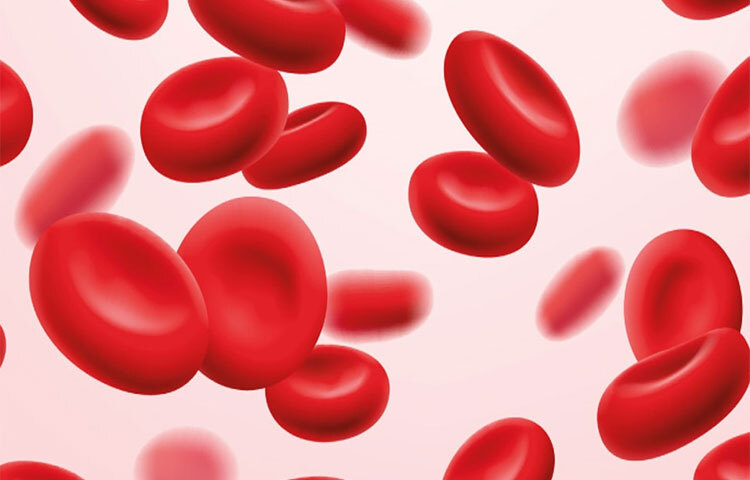 বিশেষজ্ঞদের মতে প্রতিদিনি রাতে দুটি করে খেজুর দিয়ে দুধ ফুটিয়ে খেলে তা ভীষণই স্বাস্থ্যকর। দুধ এবং খেজুরে পর্যাপ্ত পরিমাণে আয়রনের মাত্রা আছে। ফলে খালি এই দুধ ও খেজুরের সংমিশ্রণে এই পানীয় খেলে রক্তে হিমোগ্লোবিনের মাত্রা বৃদ্ধি পায়। ছবি: সংগৃহীত