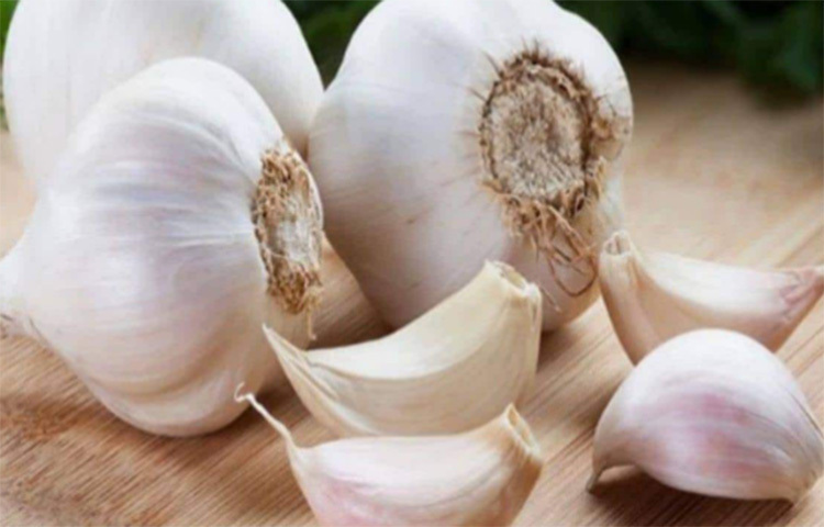 খাবারের স্বাদের পাশাপাশি রোগ প্রতিরোধ ক্ষমতাও বাড়ায় রসুন। কারণ এর প্রধান উপাদান সালফার বা গন্ধক। সংক্রমণের সঙ্গে যুঝতে সাহায্য করে রসুন। ছবি: সংগৃহীত