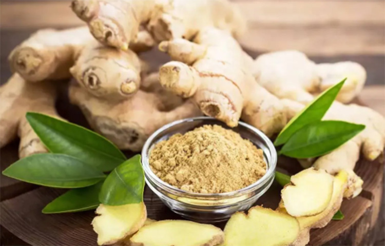রান্নায় সুবাস ও স্বাদ তো বটেই। আদা আমাদের শরীরকেও উষ্ণ রাখে। ইমিউনিটি বুস্টার এই কন্দ গলার সংক্রমণ, বমি ভাবসহ ডেঙ্গুর যে কোনো উপশমকে প্রশমিত করে। ছবি: সংগৃহীত