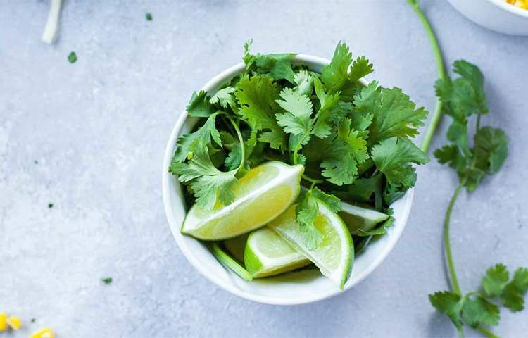 ডায়াবেটিস নিয়ন্ত্রণে সাহায্য করে: রক্তে শর্করার পরিমাণ কম করতে সাহায্য করে ধনেপাতা। নিয়মিত ধনেপাতা খেলে ইনসুলিনের পরিমাণ নিয়ন্ত্রণ করা যায়। ছবি: সংগৃহীত