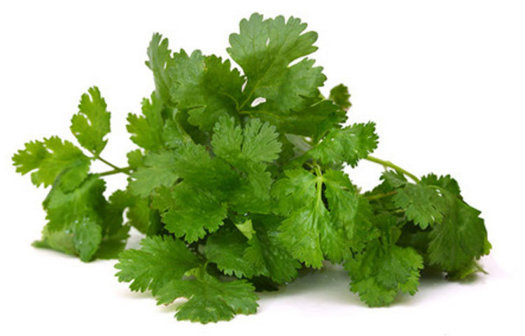 ধনেপাতার মধ্যে সিনিওল এসেনশিয়াল অয়েল এবং লিনোলিক অ্যাসিড থাকে। এগুলো শরীরের পুরনো ও স্থায়ী ব্যথা কমাতে সাহায্য করে।