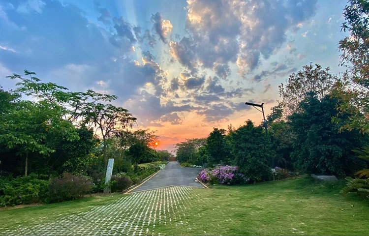 রাঁচির রিং রোড সংলগ্ন এই নতুন ফার্মহাউসে উঠে এসেছেন জোড়া বিশ্বকাপজয়ী প্রাক্তন ভারত অধিনায়ক।