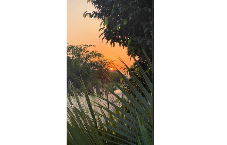 ধোনির স্ত্রী সাক্ষী ফার্মহাউসের এই ছবিগুলো তুলে পোস্ট করেছেন সোশ্যাল মিডিয়ায়।