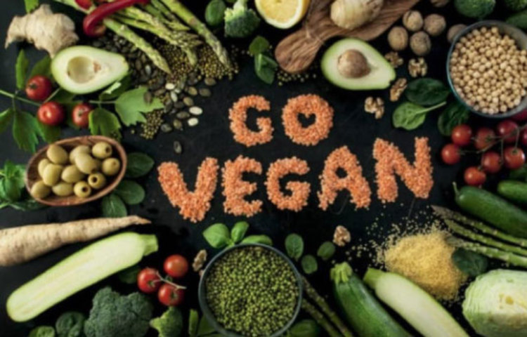 ভেজিটেরিয়ান ডায়েট: বোঝাই যাচ্ছে এই ডায়েটের মূল উপাদান শাকসবজি। নানা রঙের শাকসবজি ও দানাশস্যের ওপরেই থাকতে হয় এই ডায়েটে। মাছ-মাংস-ডিম খাওয়া চলে না।