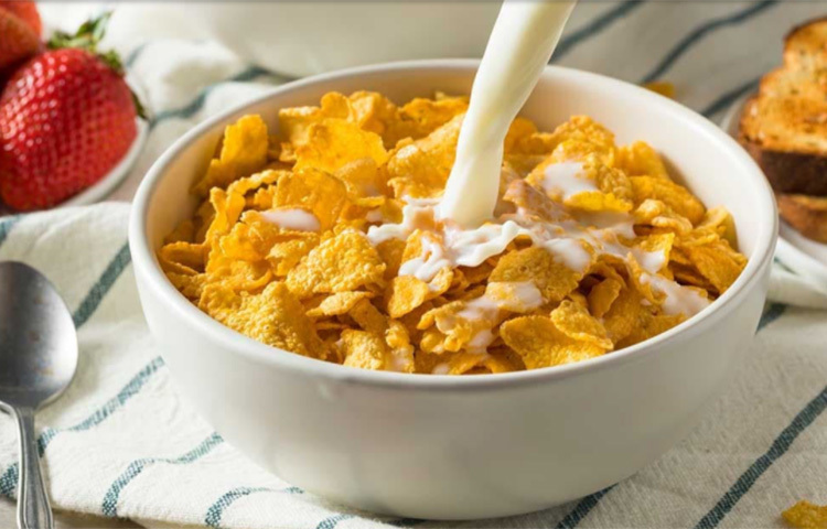 তবে ডায়েটে কর্নফ্লেক্স নেই বলে, চিন্তার করে লাভ নেই। কারণ ডায়াবেটিস রোগীদের ব্রেকফাস্টের জন্য একাধিক অপশন রয়েছে। এক্ষেত্রে ওটস খাওয়া যেতে পারে। বেরি, আপেল, আমন্ড, আখরোট, অল্প দুধ খাওয়া যেতে পারে। এগুলোতে প্রচুর পরিমাণে প্রোটিন, ফাইবার, কার্বোহাইড্রেট থাকে। চিনির পরিমাণ কম থাকে। প্রয়োজনে বিশেষজ্ঞের পরামর্শ নেয়া যেতে পারে। ছবি: সংগৃহীত