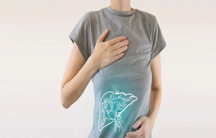 শরীরের গুরুত্বপূর্ণ অঙ্গগুলোর মধ্যে লিভার অন্যতম, তা বলার অপেক্ষা রাখে না। তাই লিভারের যত্ন নেওয়া অত্যন্ত প্রয়োজনীয়। লিভার এমন একটি অঙ্গ যে নিজেই নিজেকে পরিষ্কার করে, কিন্তু যদি সারাদিন খুব খারাপ বা জাঙ্ক ফুড খাওয়া হয়, তা হলে লিভারের উপর চাপ তো পড়েই। কারণ পরিষ্কার রাখার পাশাপাশি এটি বিভিন্ন গুরুত্বপূর্ণ উপাদান আমাদের বিভিন্ন অঙ্গে পৌঁছে দেয়, খাবার হজম করে সারাক্ষণ এবং আরও একাধিক কাজ করে থাকে। ছবি: সংগৃহীত