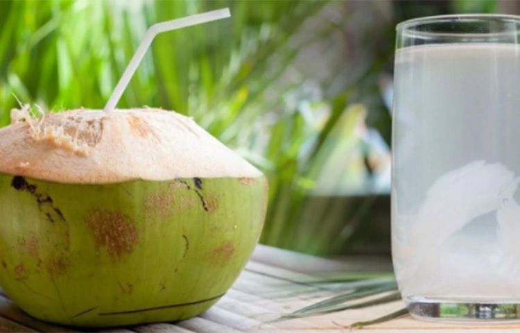 ডাবের পানি: ডাবের পানি যে গরমকালে কতটা তৃপ্তি দেয়-এ কথা আমরা সবাই জানি। ছবি: সংগৃহীত