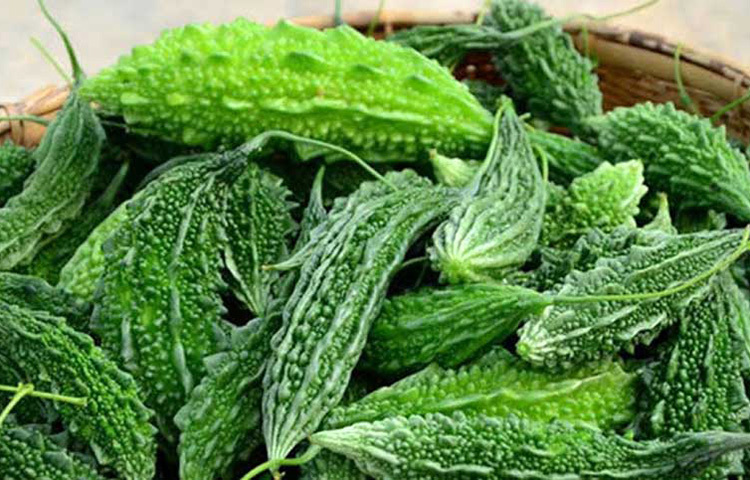 লাউ, ঝিঙে, উচ্ছে, করলা, নিমপাতা ইত্যাদি নানান সবজি শরীরকে সতেজ ও ঠান্ডা রাখে। ছবি: সংগৃহীত