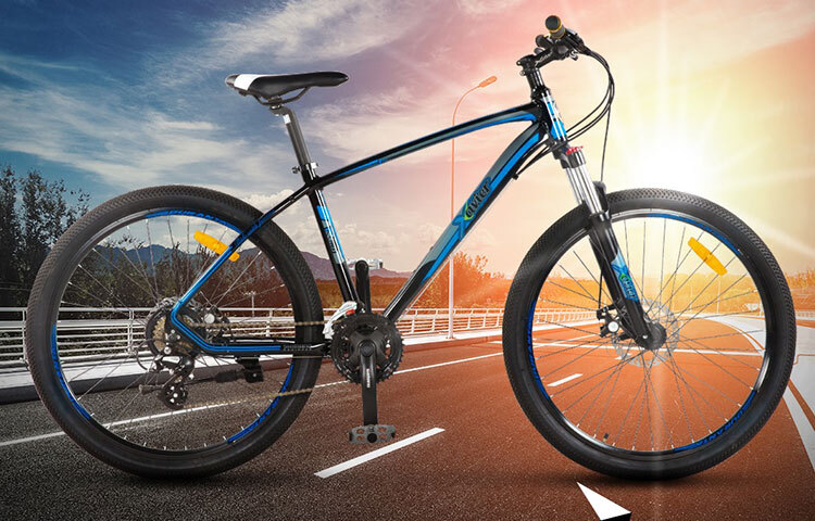 সাইকেল চালালে বিশ্রামকালীন হৃদস্পন্দন কমে। উচ্চ বিশ্রামের হৃদস্পন্দন কারডিওভাস্কুলার রোগীদের মৃত্যুহার বৃদ্ধির সঙ্গে সম্পর্কিত। ছবি: সংগৃহীত