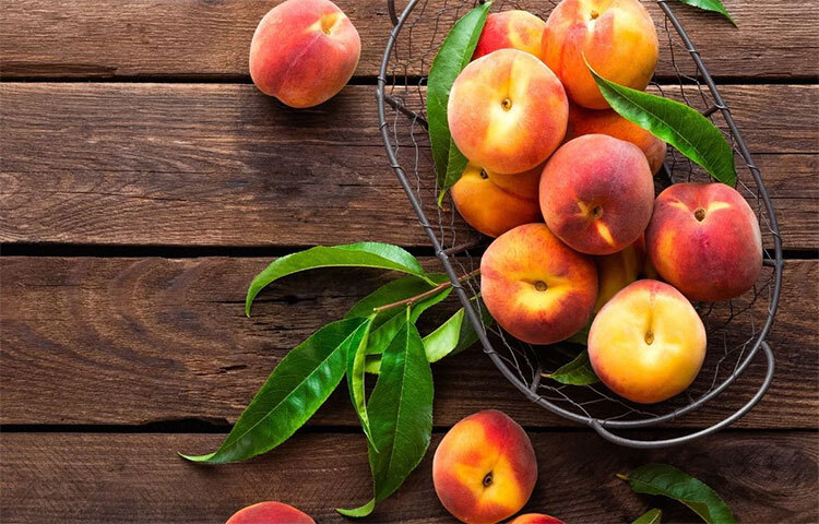 পিচ ফল: পিচ ফলে আছে প্রচুর ফাইবার, ভিটামিন সি, ভিটামিন এ ও পটাসিয়াম। ডায়াবেটিস হলে যে অন্যান্য শারীরিক সমস্যা হয় তার বিরুদ্ধেও লড়াই করে পিচ ফলে থাকা বায়োঅ্যাকটিভ যৌগ। নিয়মিত পিচ খেলে প্রদাহ কমে, রোগ প্রতিরোধ ক্ষমতা বাড়ে এবং হজমশক্তি উন্নত হয়। ছবি: সংগৃহীত