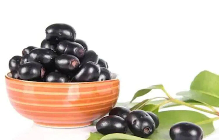 জাম: জাম যুগ যুগ ধরে ডায়াবেটিসের প্রতিকার হিসেবে ব্যবহার হয়ে আসছে। এই ফলটিতে শর্করার পরিমাণ কম থাকে এবং সেই কারণেই রোজ খেলেও রক্তে শর্করার পরিমাণ বাড়ে না। কালো ফলের মধ্যে উপস্থিত যৌগ এবং অ্যান্টিঅক্সিডেন্ট স্টার্চকে শক্তিতে রূপান্তর করতে এবং রক্তে শর্করার মাত্রা বজায় রাখতে সাহায্য করে। ছবি: সংগৃহীত