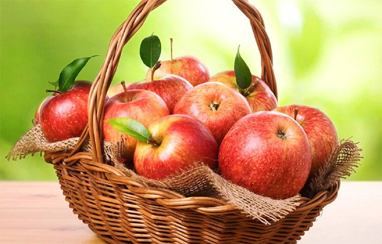 আপেল: ফাইবার ও পুষ্টিগুণ সমৃদ্ধ আপেল হলো আরও একটি ফল যা ডায়াবেটিস রোগীরা খেতে পারে। এই ফলে ফ্রুক্টোজ কম, এটি দ্রবণীয় এবং অদ্রবণীয় উভয় ফাইবারে পরিপূর্ণ। আপেল কোষ্ঠকাঠিন্য কমাতে এবং দীর্ঘ সময়ের জন্য পেট ভর্তি রাখতে সাহায্য করে। আপেলে উপস্থিত ফাইবার হজম প্রক্রিয়া এবং চিনির শোষণকেও ধীর করে দেয়। তার মানে চিনি ধীরে ধীরে রক্তের প্রবাহে প্রবেশ করে এবং রক্তে শর্করার মাত্রা বাড়ায় না। ছবি: সংগৃহীত