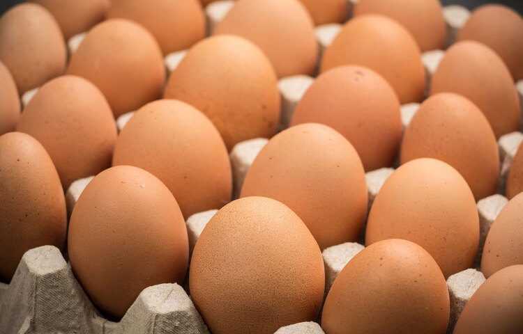 গাছের জন্য: ডিম সেদ্ধর পর সেই পানি ও ডিমের খোসা গুঁড়িয়ে গাছের গোড়ায় দিন। ডিমের খোলা গাছের শরীরে ক্যালসিয়ামের জোগান বাড়াতে খুব কার্যকর। গাছকে নানা পতঙ্গের হাত থেকেও বাঁচায় ডিমের খোসা।