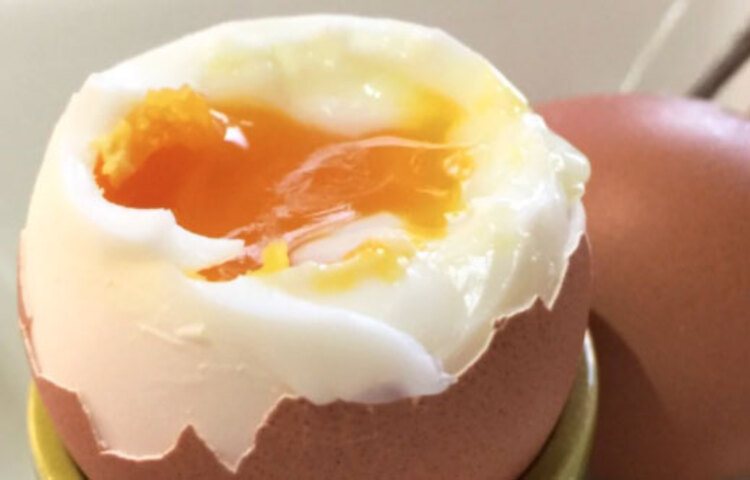 ডিম অনেকেরই প্রিয় খাবারের তালিকায় থাকে। কিন্তু ডিম খাওয়া কতটা উপকারি, অতিরিক্ত ডিম খেলে শরীরের উপর কী ক্ষতিকারক প্রভাব পড়তে পারে, তা নিয়ে বিভ্রান্ত হন অনেকেই। যাদের উচ্চ রক্তচাপ বা হৃদযন্ত্রে সমস্যা রয়েছে, তাদের সপ্তাহে তিন দিন কুসুম ছাড়া ডিম খাওয়ার পরামর্শ দিচ্ছেন ডায়াটেশিয়ানরা।