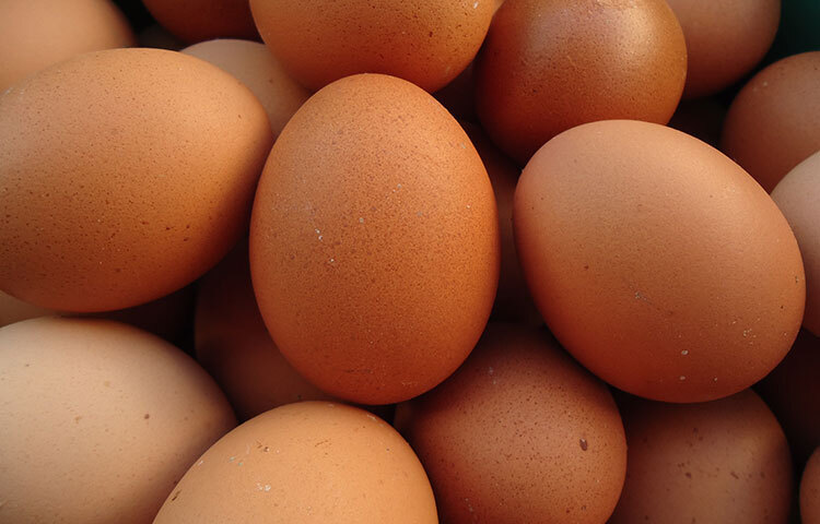 কিন্তু গুণগত বৈশিষ্ট্য বিচার করলে দেখা যাবে প্রোটিনের উৎস হিসেবে ডিম সহজপাচ্য ও পুষ্টিকর। সেদিক থেকে দেখতে গেলে শরীর গরম করে যে সব খাবার, তার মধ্যে ডিম পড়ে না। ছবি: সংগৃহীত