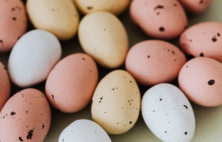 ডিম সেদ্ধ হওয়ার পর ডিমের সাদা অংশ যদি ঘোলাটে এবং দুর্গন্ধযুক্ত হয়, তবে অনায়াসেই বলে দেয়া যায় ডিমটি নষ্ট। ছবি: সংগৃহীত