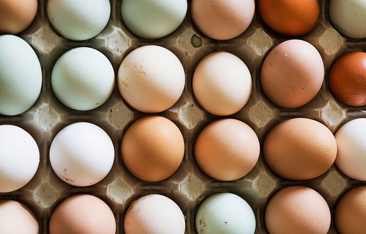 জুতা পরিষ্কারে: পুরনো চামড়ার জুতার মধ্যে সাদা ঘোলাটে দাগ পড়ে যায়। ছত্রাকও জন্মাতে পারে। ডিমের সাদা অংশ কাপড়ে নিয়ে ঘষে ঘষে পরিষ্কার করুন।