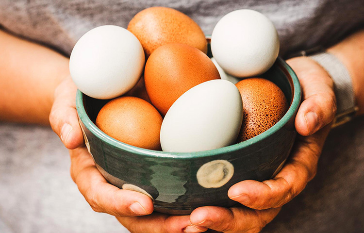 ডিমের সবচেয়ে ভালো বিষয় যে এটা বিভিন্নভাবে তৈরি করে খাওয়া যায়। ডিমের ঝোল হোক বা ডিম ভুরজি তা দিয়ে রুটি, ভাত খাওয়া যায়। এছাড়া ওমলেট, সিদ্ধডিম তো আছেই। ছবি: সংগৃহীত