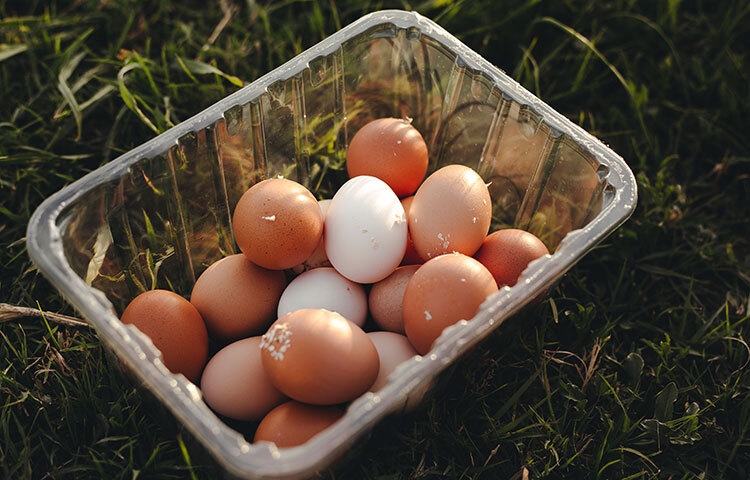কিন্তু গরমকালে ডিমের জনপ্রিয়তায় ভাটা পড়ে। অতিরিক্ত গরমে ডিমে সহজেই পচন ধরে। ছবি: সংগৃহীত