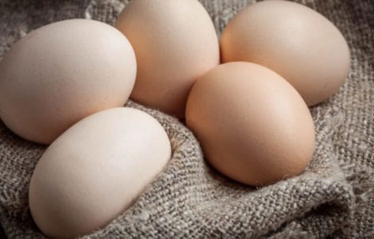 কন্ডিশনার: হঠাৎ কন্ডিশনার শেষ হয়ে গেলে চিন্তার কারণ নেই। অলিভ অয়েল আর ডিমের কুসুম একসঙ্গে মিশিয়ে শ্যাম্পুর পর লাগিয়ে রাখুন চুলে। বাজারচলতি কন্ডিশনারের চেয়ে এই ঘরোয়া ব্যবহারে চুল ভালো হবে।