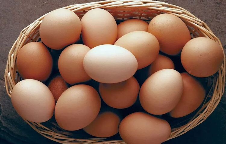 প্রতিদিন ডিম খাওয়া যাবে কিনা এ নিয়ে অনেকের মনেই প্রশ্ন রয়েছে। ডিমে ভিটামিন এ, ভিটামিন বি ১২, একটা ডিমে ফ্যাট, প্রোটিন, ক্যালোরি, পটাসিয়াম, সোডিয়াম সব পাওয়া যায়। কিন্তু এতে কোলেস্টেরলও থাকে। যা চিন্তার বিষয়। ছবি: সংগৃহীত