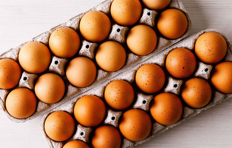 অনেকেই নিজের শরীরের রোগ সম্পর্কে অবগত থাকেন না। সে ক্ষেত্রে সপ্তাহে তিনটে ডিম খাওয়া ভালো। মধ্যবয়স পেরিয়ে গেলেই এই নিয়ম মানতে বলা হচ্ছে। তবে এই বয়সে সবসময় প্রতি তিনমাসে শরীরের একটা রুটিন চেক-আপ করানো উচিত। এতে জানা যায় সুগার, কোলেস্টেরল বাসা বাঁধছে কিনা। কোলেস্টেরল থাকলে বা বেশি মাত্রায় থাকলে জেনে নিতে হবে। একটার বেশি ডিম সপ্তাহে খাওয়া উচিত নয়। ছবি: সংগৃহীত